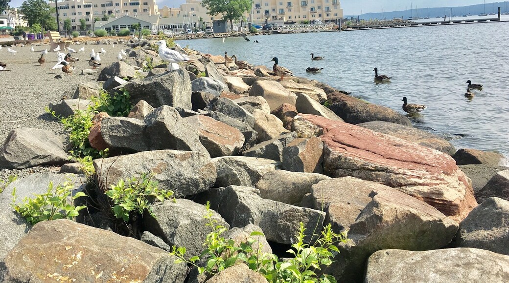 #NyackPark #NewYorkState