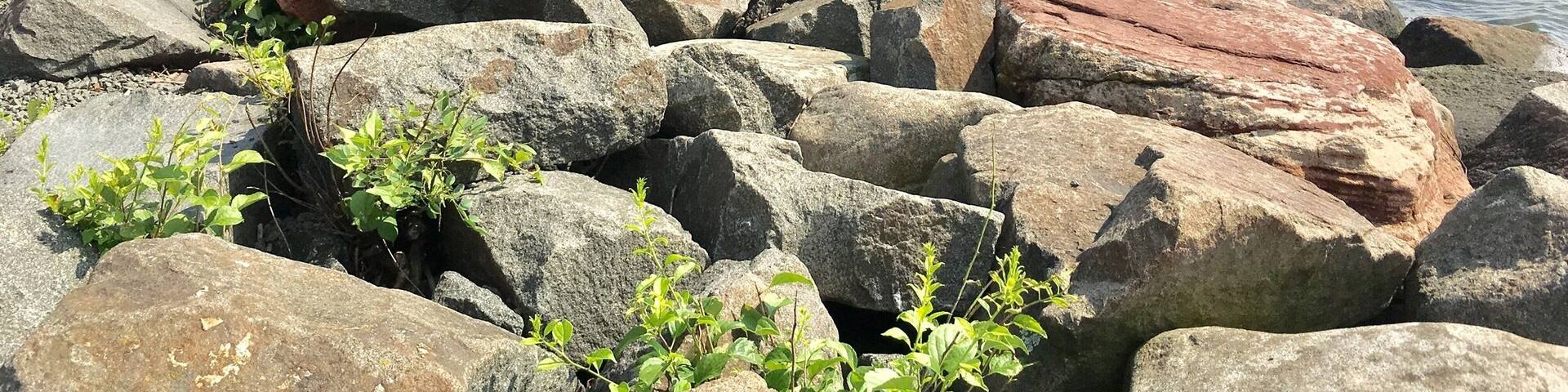 #NyackPark #NewYorkState