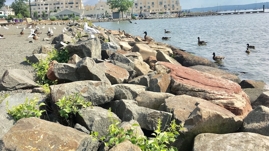 #NyackPark #NewYorkState