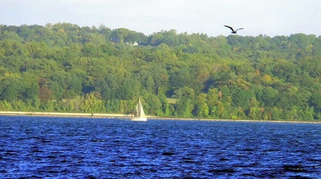 This picture was taken at Nyack Beach in Nyack, NY. Gorgeous Day. Saw several sailboats on the river.