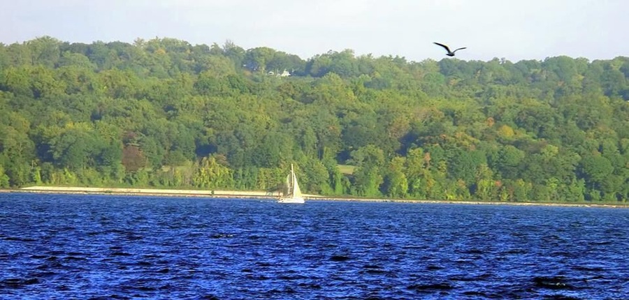 This picture was taken at Nyack Beach in Nyack, NY. Gorgeous Day. Saw several sailboats on the river.