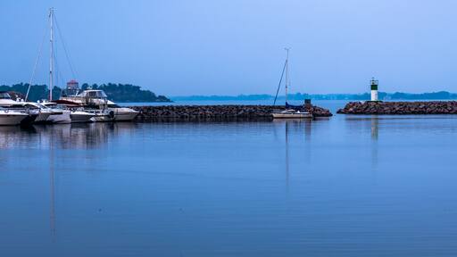 boats in the harbour in Kingston