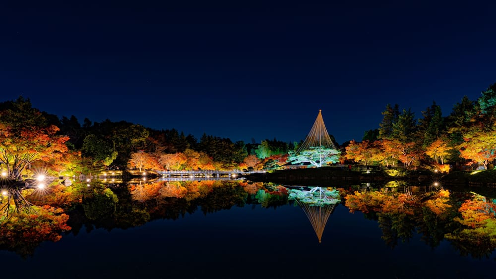 Autumn Night Illumination Reflected in Pond at Showa Kinen Park Japan