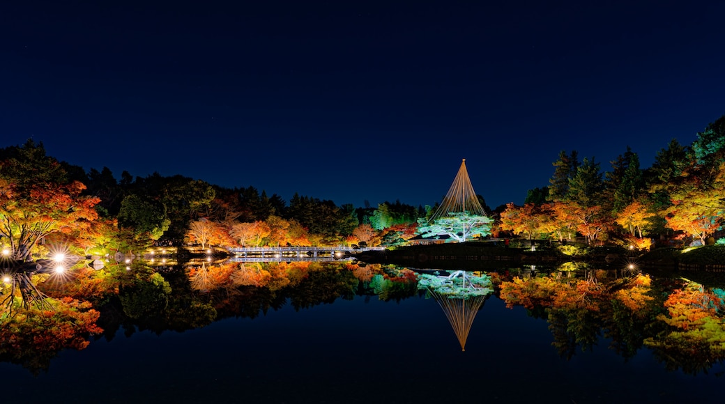 Autumn Night Illumination Reflected in Pond at Showa Kinen Park Japan