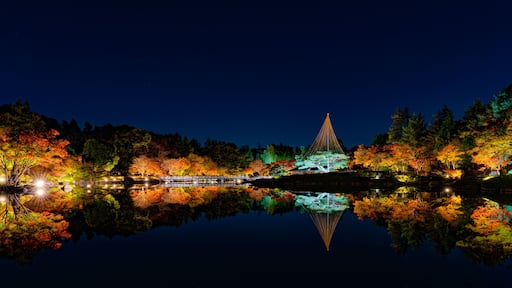 Autumn Night Illumination Reflected in Pond at Showa Kinen Park Japan