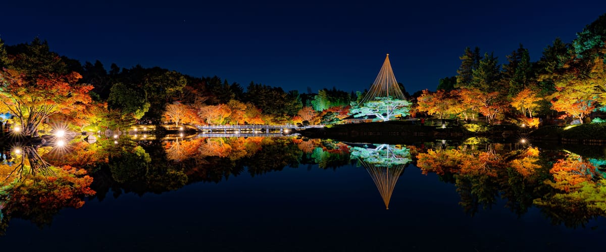 Autumn Night Illumination Reflected in Pond at Showa Kinen Park Japan