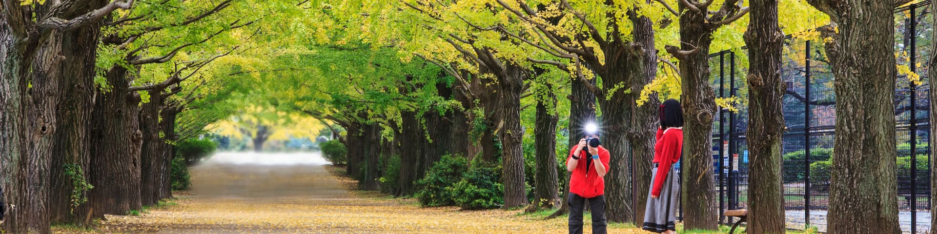 Showa Memorial Park
