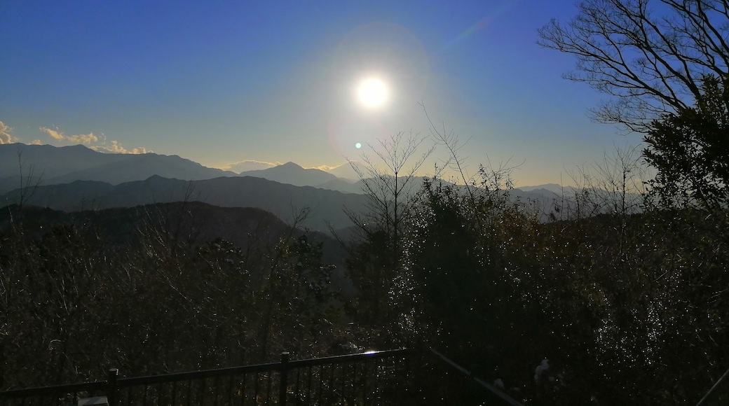 Mount Fuji from afar.