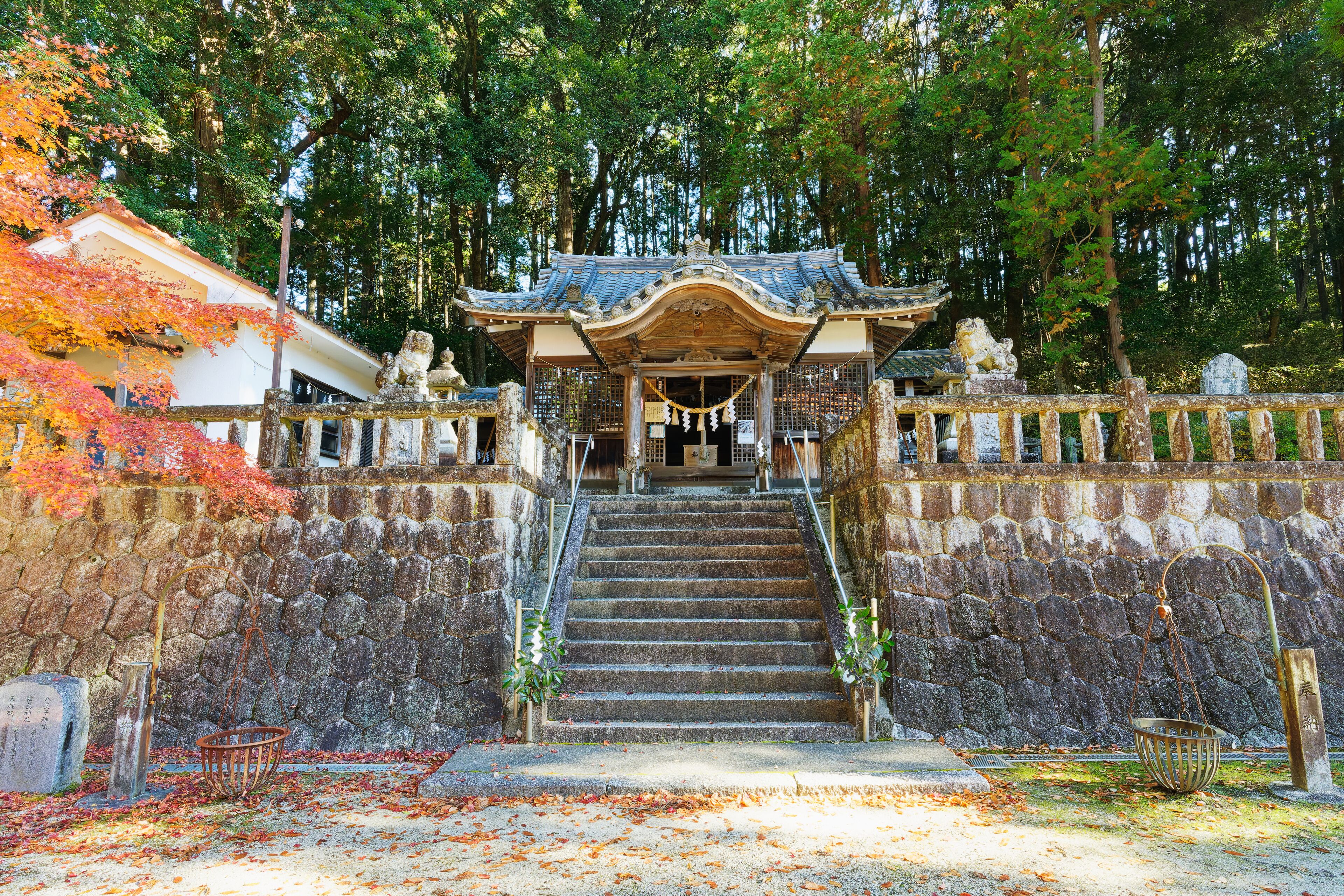 Front view of Hachioji Shrine with stone steps and forest background in Mizunami, Gifu, Japan