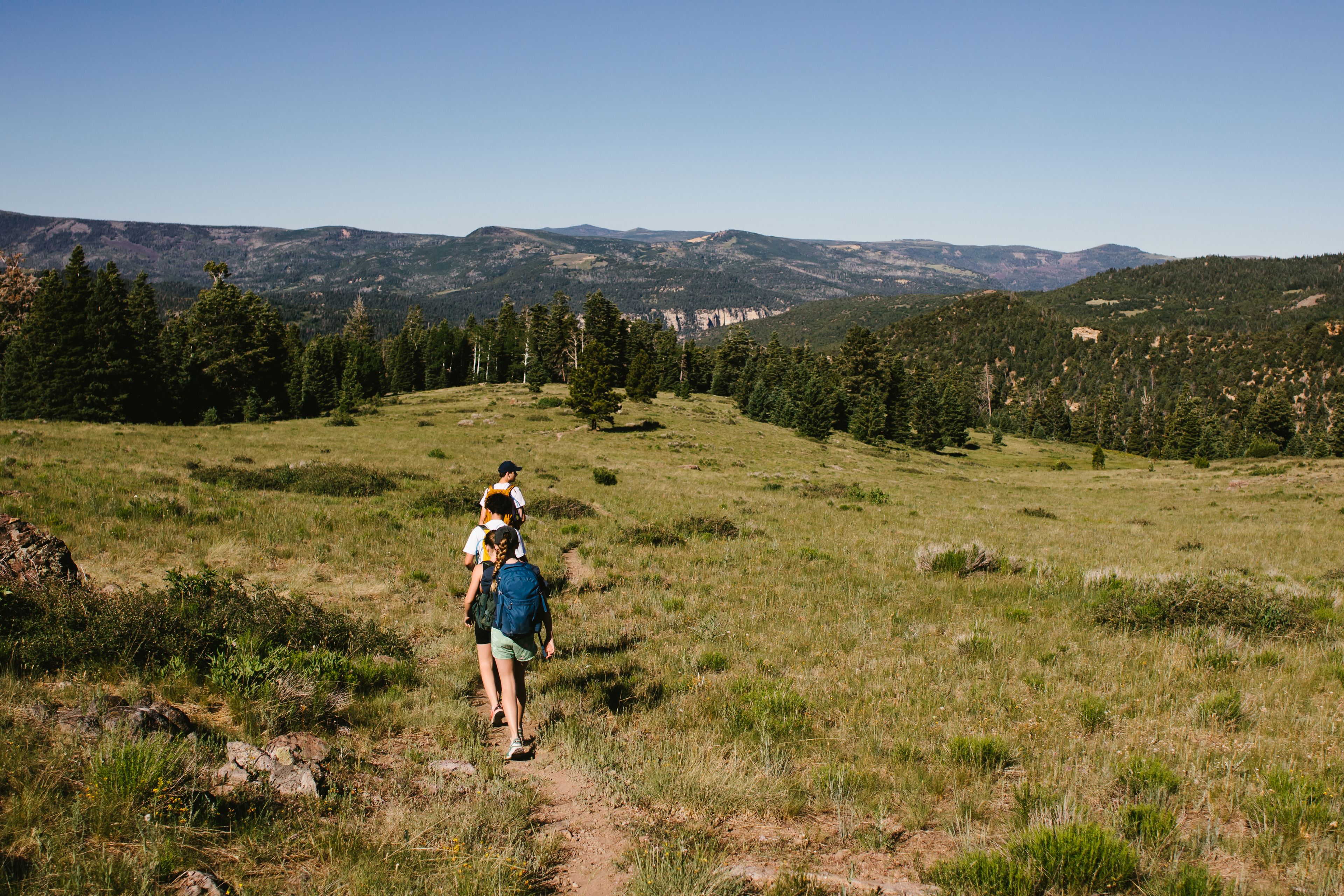 Group of teenagers hiking across green field by forest and mountains