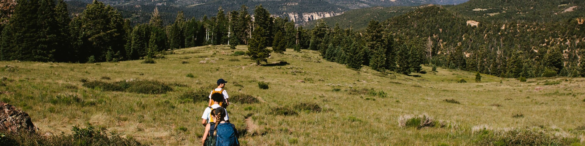 Un excursionista en un sendero con un paisaje montañoso al fondo.
