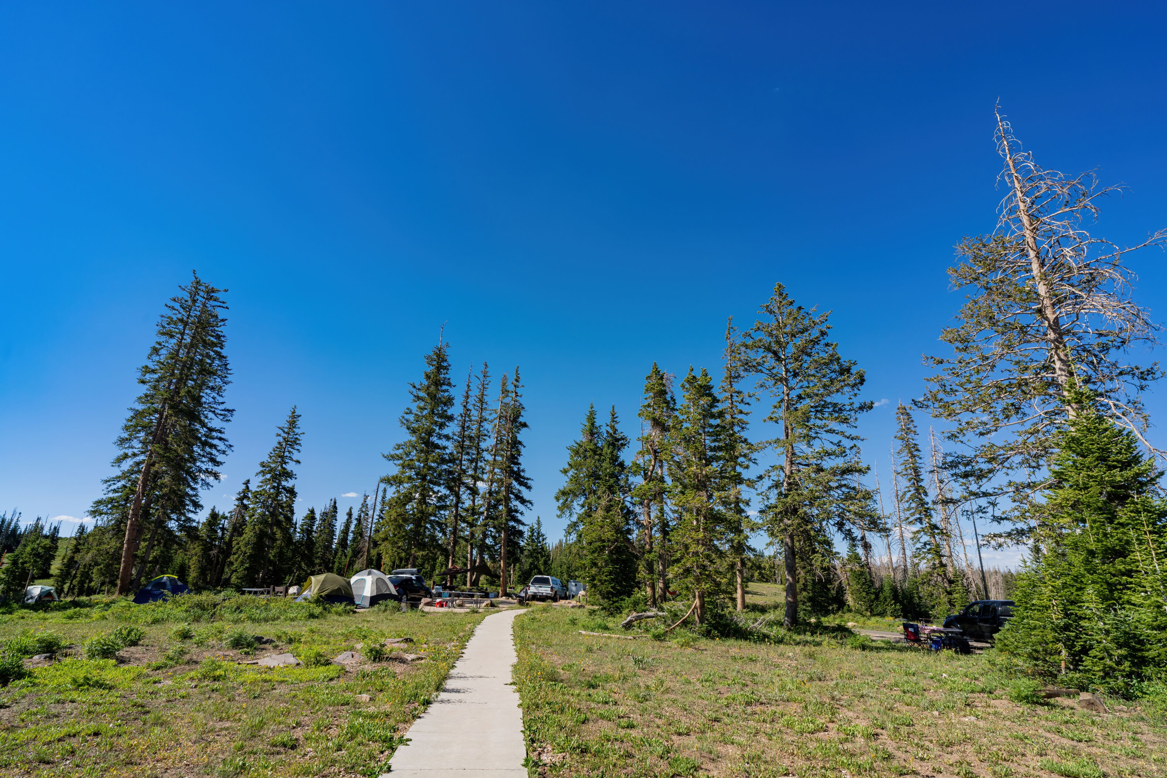 Sunny view of the Point Supreme Campground of Cedar Breaks National Monument