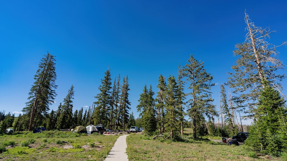 Sunny view of the Point Supreme Campground of Cedar Breaks National Monument