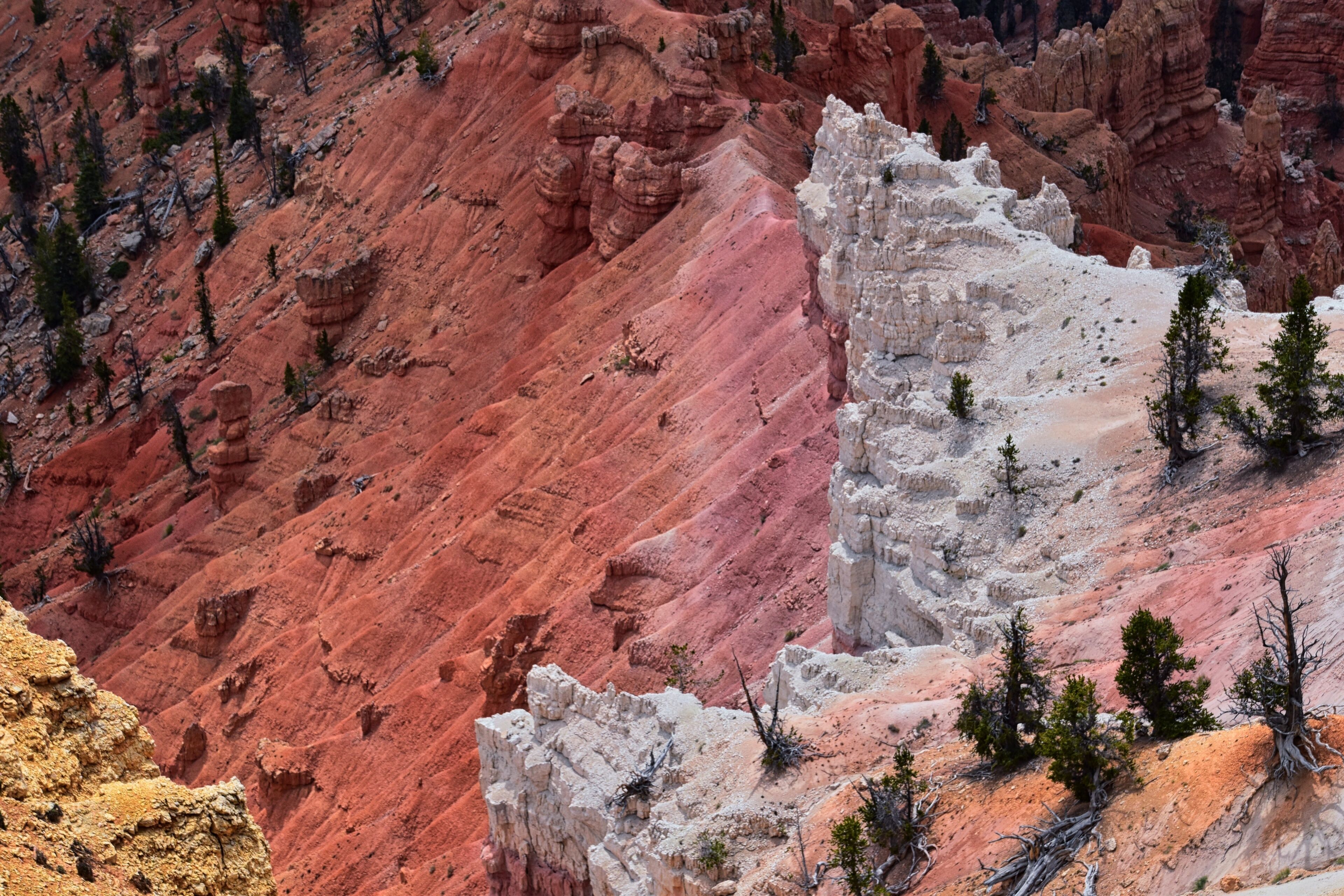 Cedar Breaks National Monument views from hiking trail near Brian head and Cedar City, Utah. United States. USA