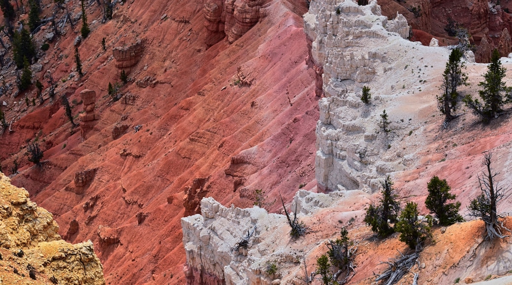 Cedar Breaks National Monument views from hiking trail near Brian head and Cedar City, Utah. United States. USA