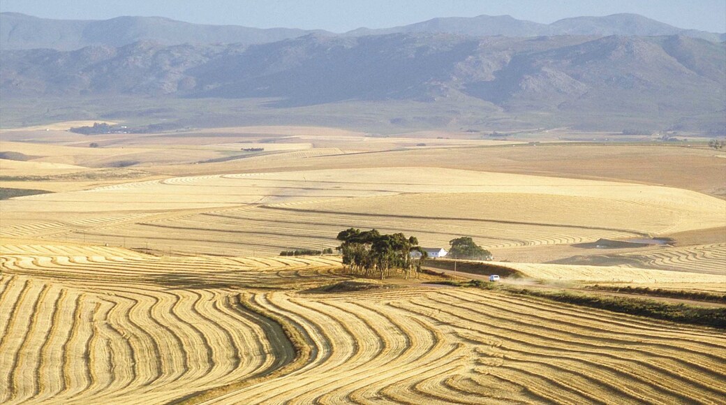 Caledon featuring landscape views and tranquil scenes