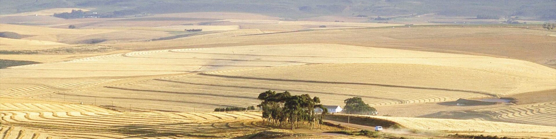 Caledon featuring landscape views and tranquil scenes