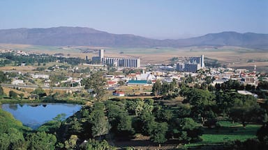 ์นผ๋ ๋ ์ ํน์ง ๊ณต์, ์์ ๋ง์ ๋๋ ๋น๋ฆฌ์ง ๊ณผ ์ฐ๋ชป