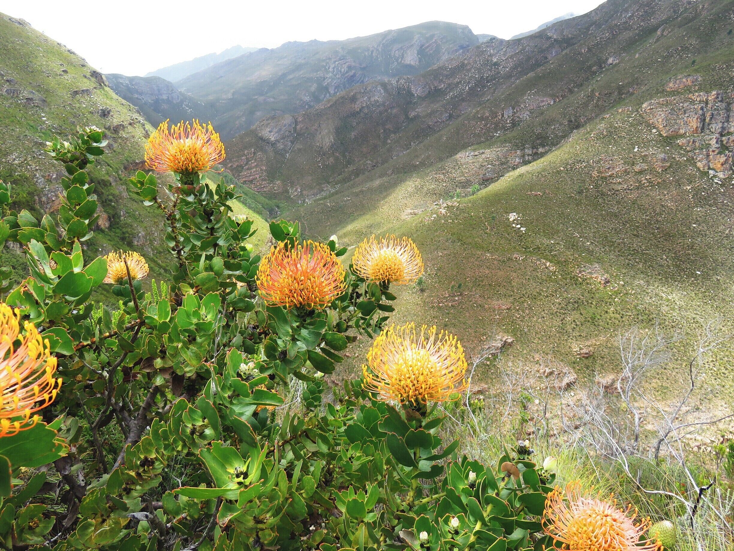 View from hiking trail