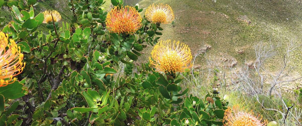 View from hiking trail