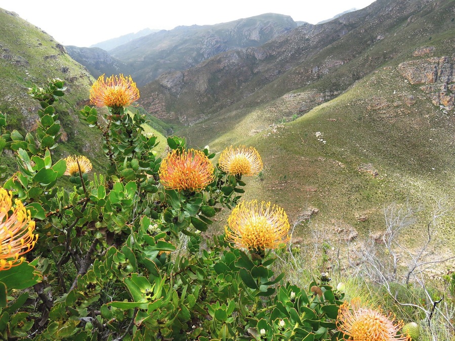 View from hiking trail