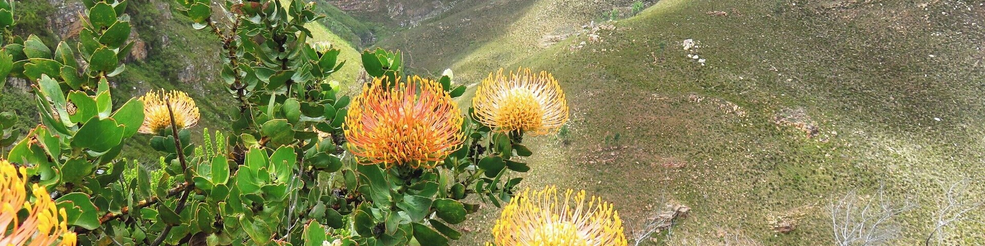 View from hiking trail