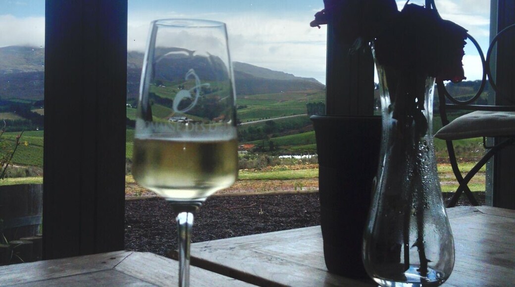 Wine tasting, beautiful view. #Hemelsenaardevalei.