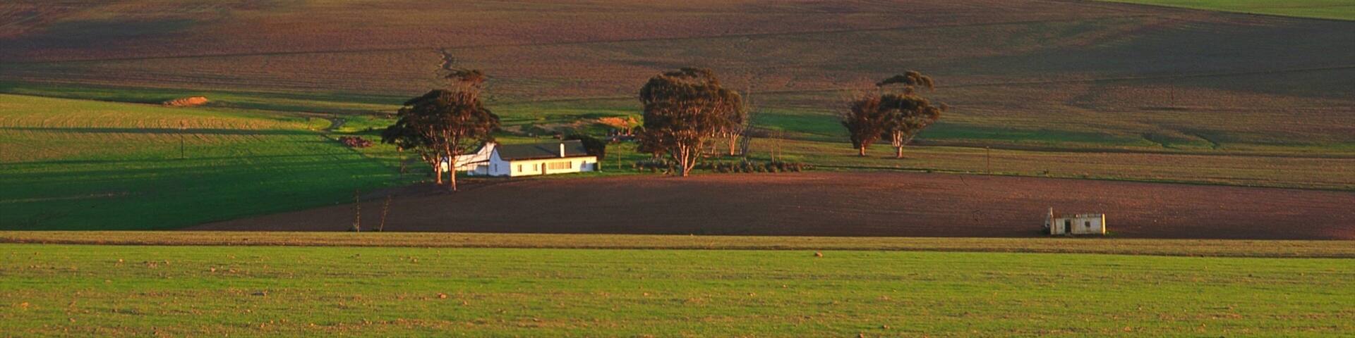 Caledon mostrando cenas tranquilas e paisagem
