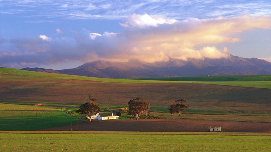 Caledon showing landscape views and tranquil scenes