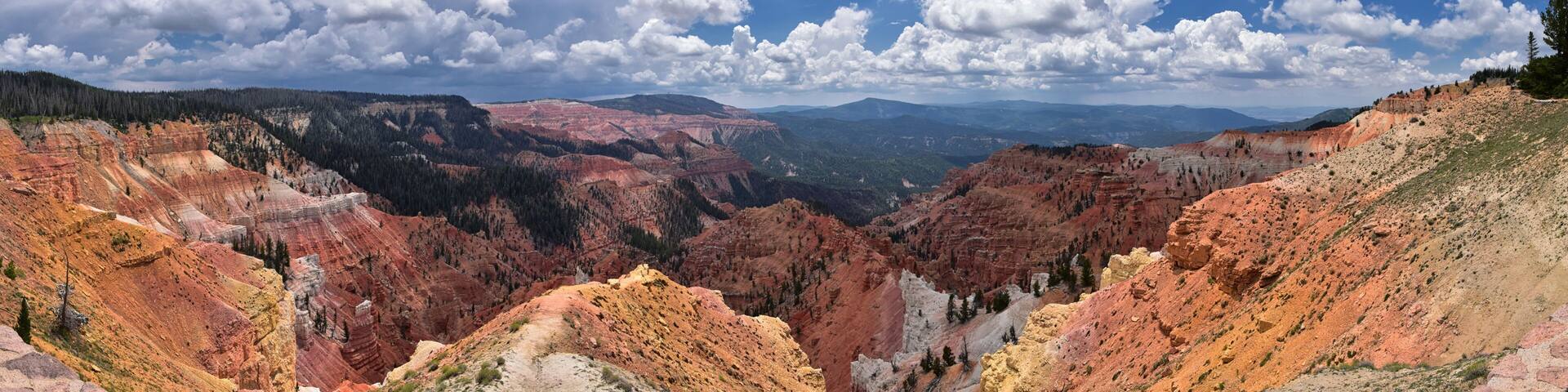 A canyon with layered rock formations and a forested mountain range.