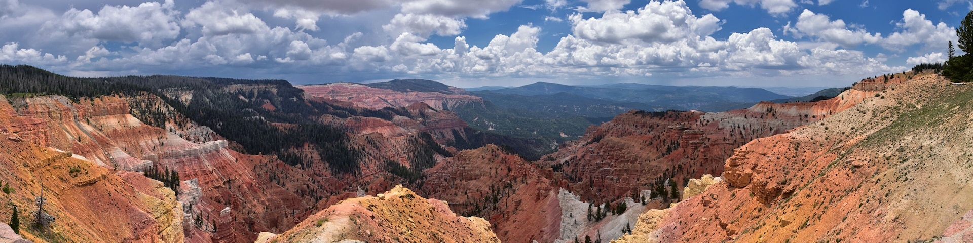 A canyon with layered rock formations and a forested mountain range.