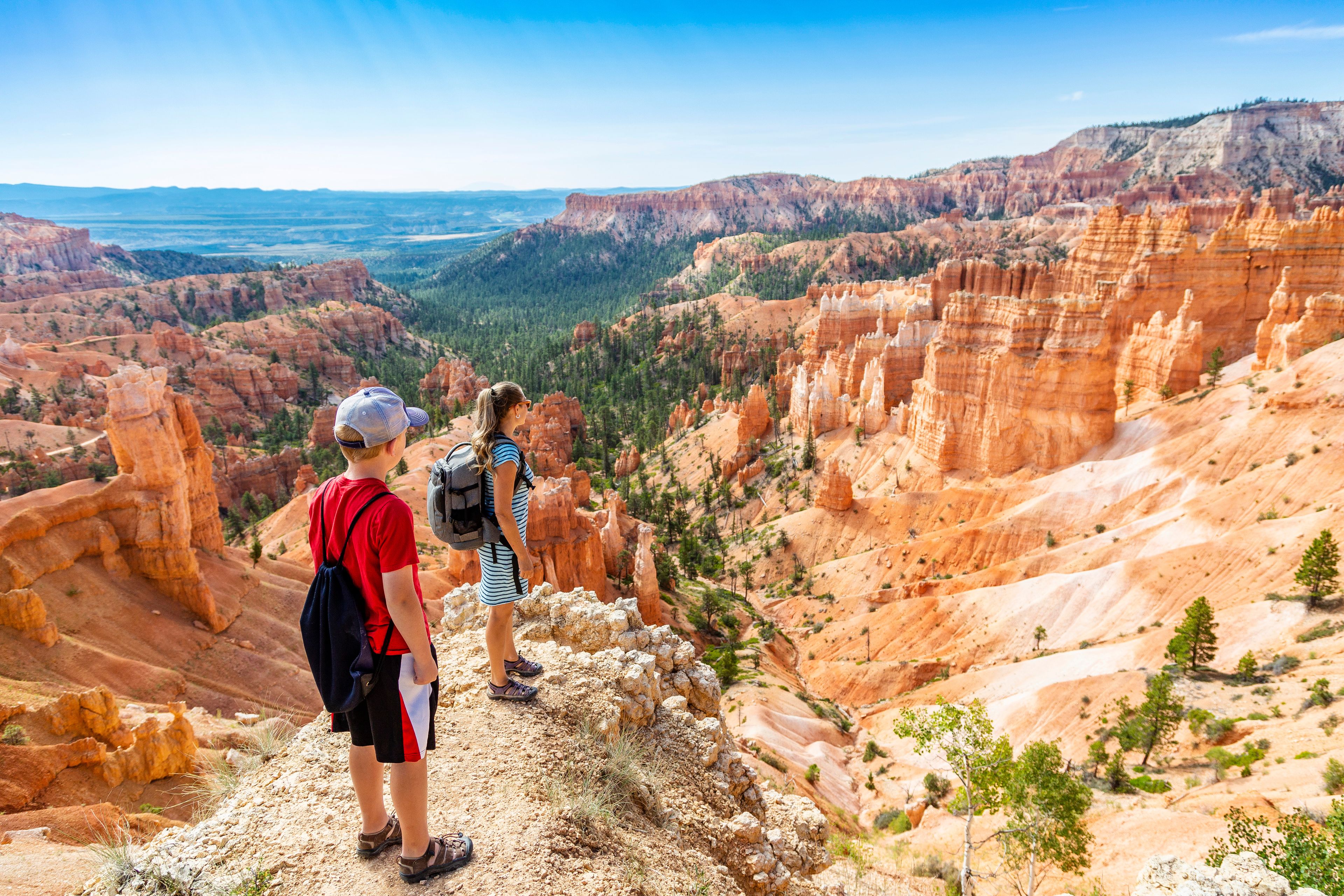 A canyon with red rock formations and a hiker.