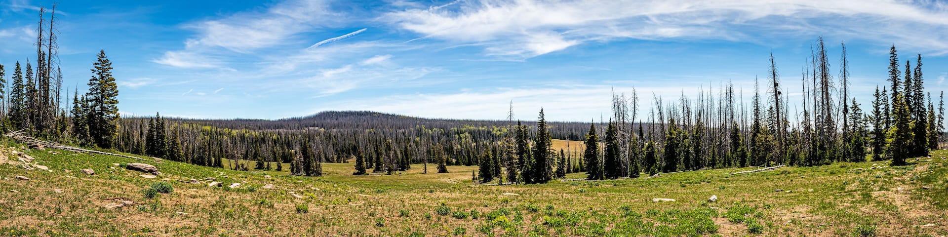 Cedar Breaks National Monument