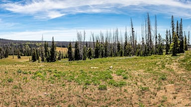 Cedar Breaks National Monument