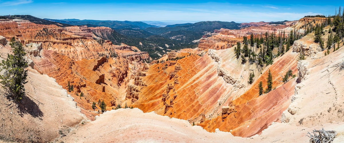 A canyon with layered rock formations and sparse trees.