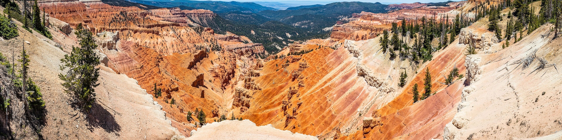 A canyon with layered rock formations and sparse trees.