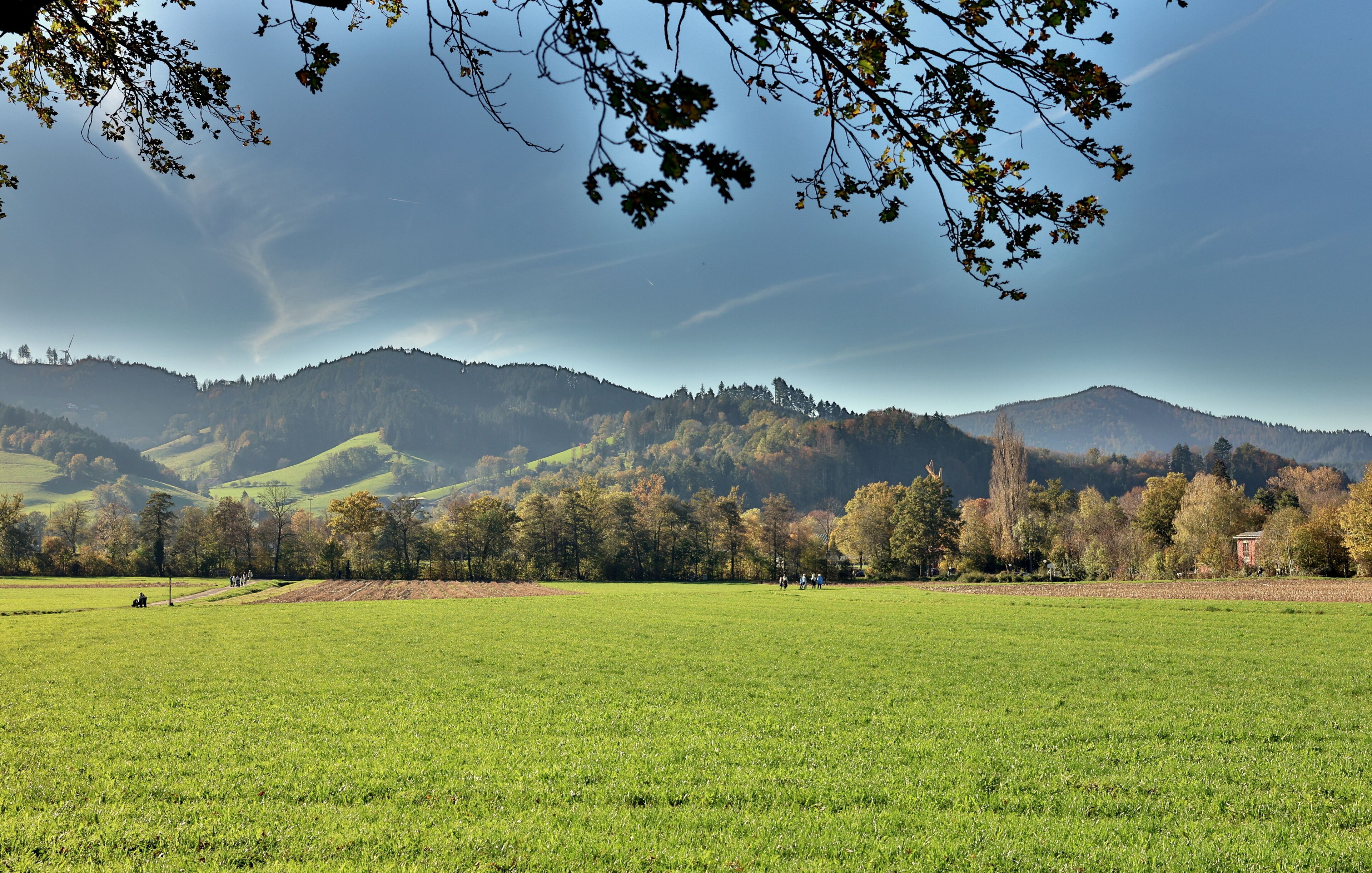 Herbstlandschaft in Kirchzarten bei Freiburg