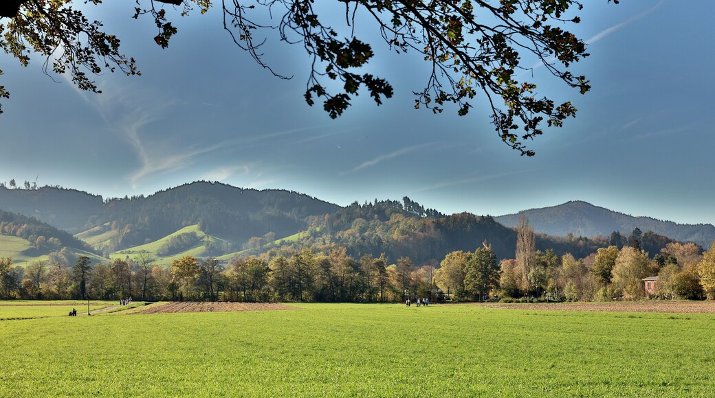Herbstlandschaft in Kirchzarten bei Freiburg