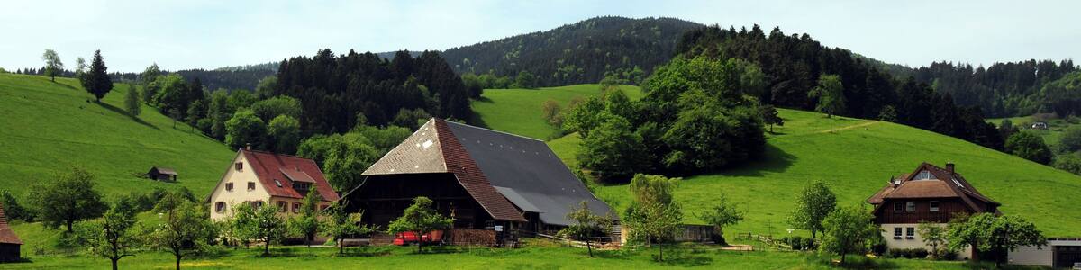 Wonderful farms at Kirchzarten, Dreisamtal, Schwarzwald