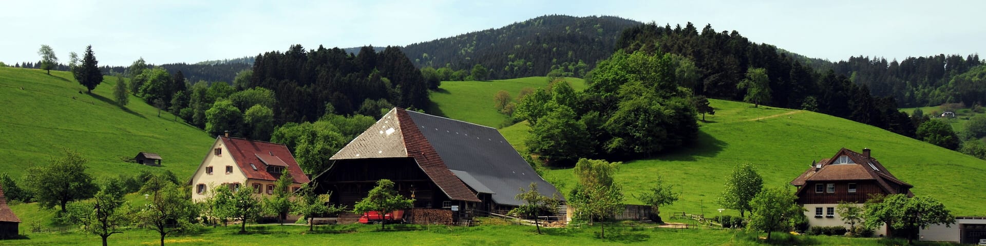 Wonderful farms at Kirchzarten, Dreisamtal, Schwarzwald