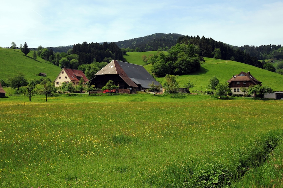 A rural landscape with rolling hills, a barn, and traditional houses.