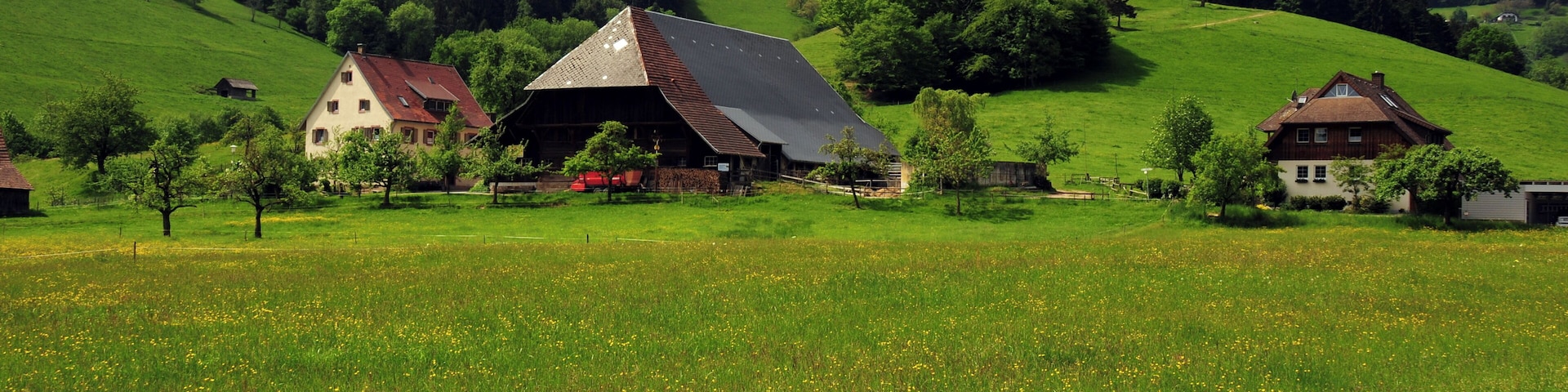 Wonderful farms at Kirchzarten, Dreisamtal, Schwarzwald