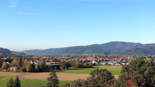 Blick auf Kirchzarten im Herbst