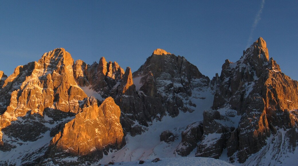 Parco naturale Paneveggio - Pale di San Martino (Q267909)