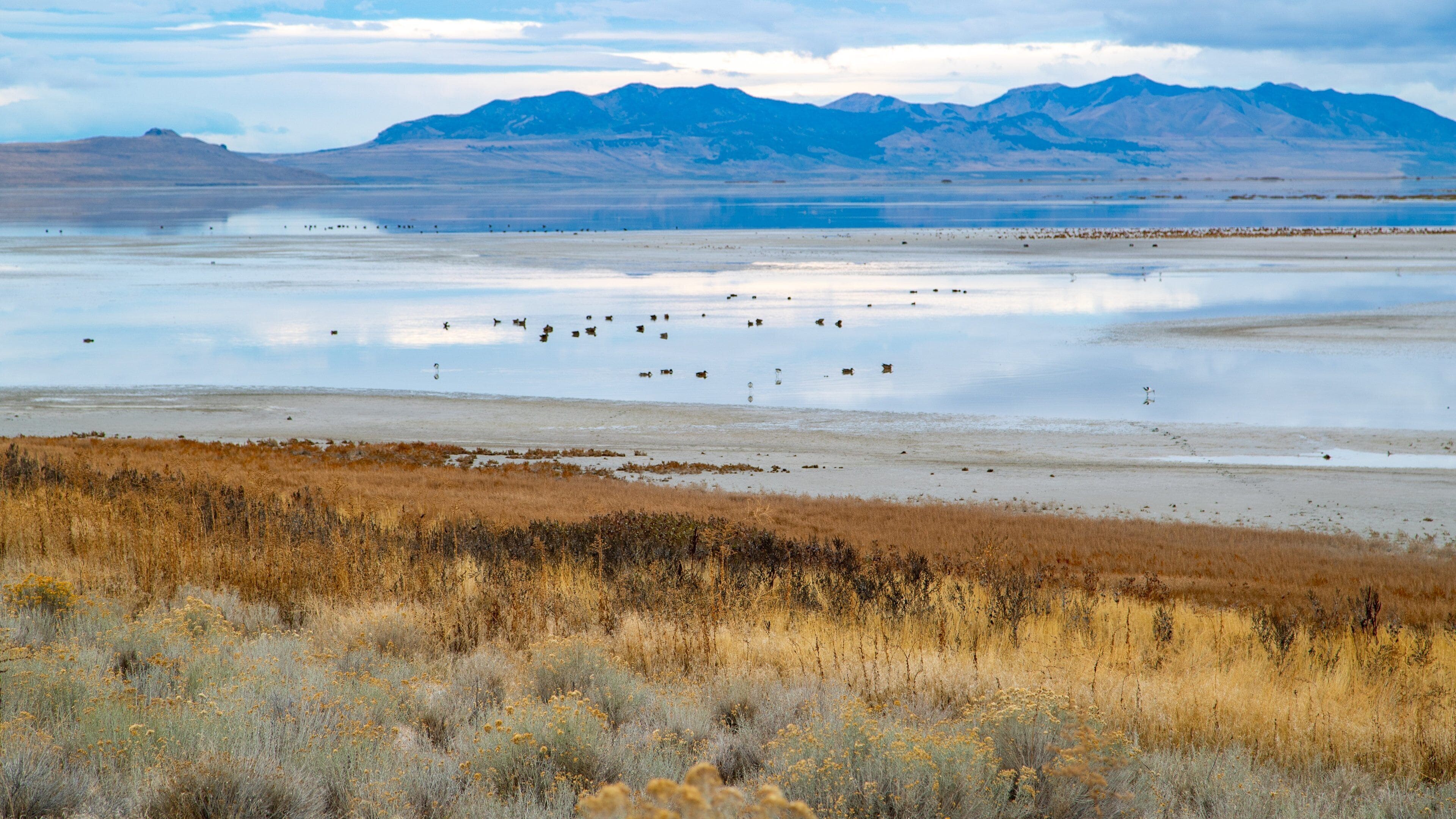 St Maarten and St Martin featuring a lake or waterhole and tranquil scenes
