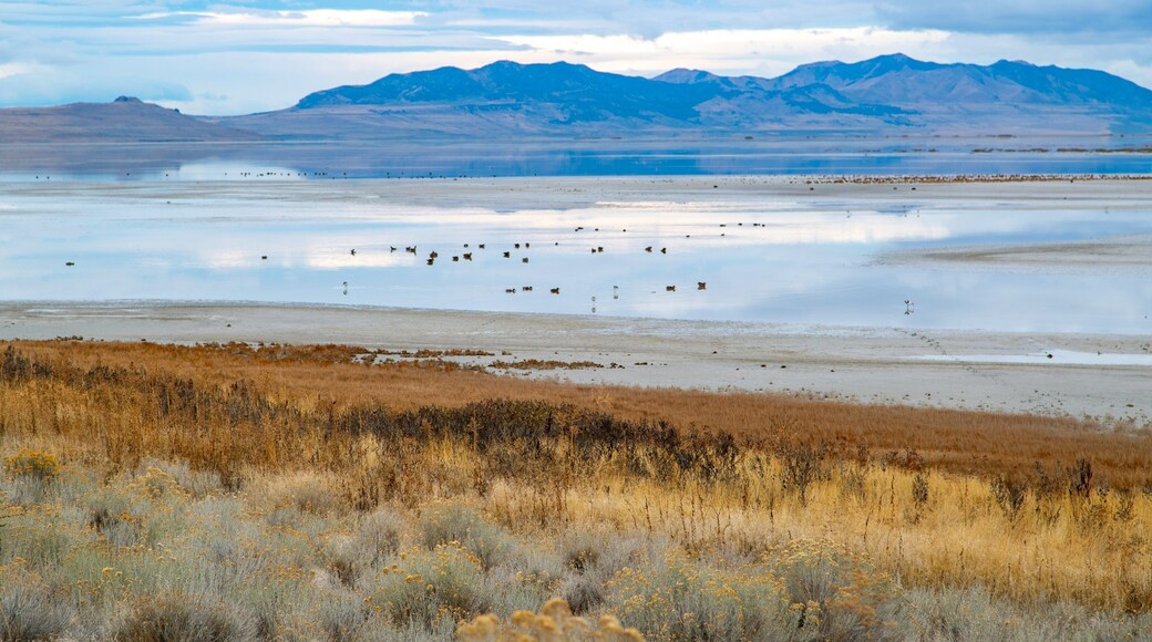 St Maarten and St Martin featuring a lake or waterhole and tranquil scenes