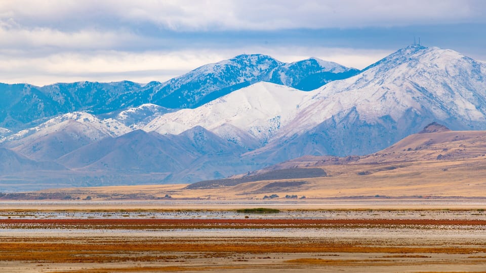 A snow-covered mountain range with a flat, barren foreground.