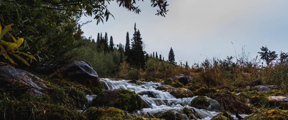 Spot along the Logan river in Logan canyon