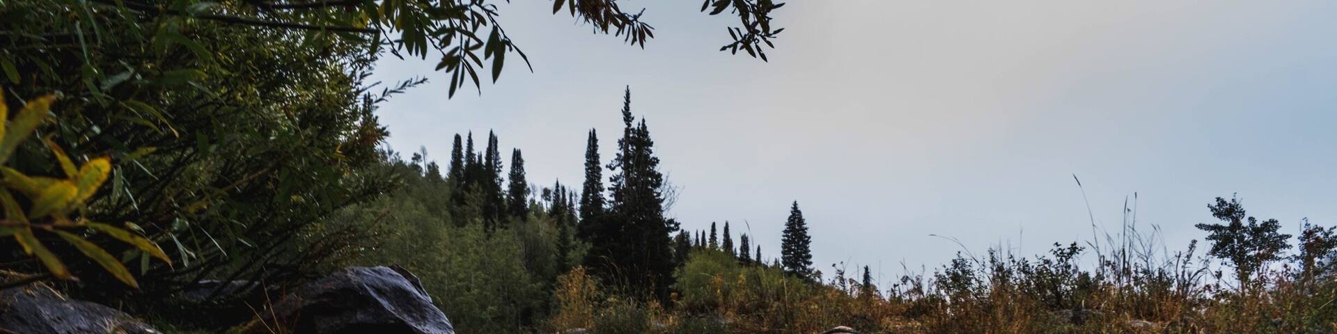 Spot along the Logan river in Logan canyon