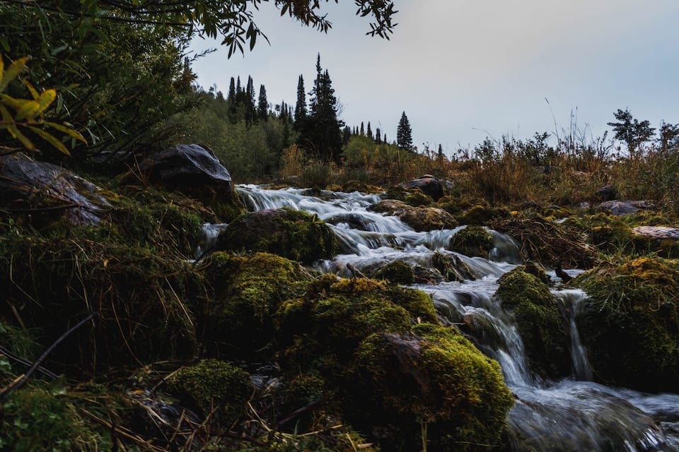 A cascading waterfall surrounded by moss-covered rocks and dense forest.